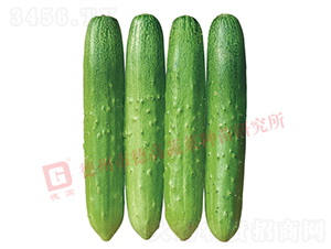 �¸�1913�S��-�S�ϷN��-�¸߷N�I(y��)