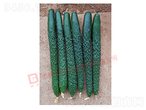 �¸�C28�S��-�S�ϷN��-�¸߷N�I(y��)