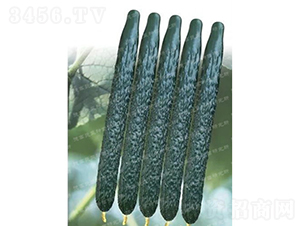 �¸�C57�S��-�S�ϷN��-�¸߷N�I(y��)