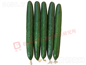 �¸��A��6̖�S��-�S�ϷN��-�¸߷N�I(y��)