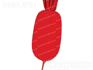 �tƤ�}��-��t-�}���N��-�¸߷N�I(y��)