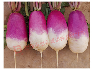 һ�c�t�}��-R275-�}���N��-�¸߷N�I(y��)