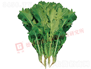 �~���}��-R460-�}���N��-�¸߷N�I(y��)