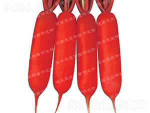 ˮ�}��-�¸�601-�}���N��-�¸߷N�I(y��)