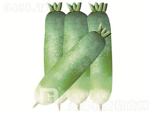 ˮ���}��-�¸���-�}���N��-�¸߷N�I(y��)