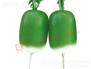 �S�GƤ�}��-����-�}���N��-�¸߷N�I(y��)