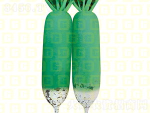 ˮ���}��-�¸ߖ|ɽ-�}���N��-�¸߷N�I(y��)