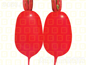 �tƤ�}��-�¸����o(j��)�t-�}���N��-�¸߷N�I(y��)