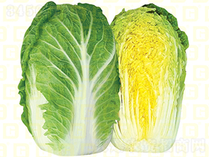 �Ϸ�Խ���ײ�-�¸߶���-��ײ˷N��-�¸߷N�I(y��)