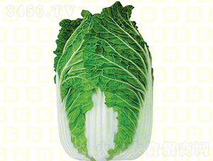 ������ײ�-�¸ߑc��-��ײ˷N��-�¸߷N�I(y��)