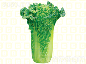 �����~���-�¸����A50-��ײ˷N��-�¸߷N�I(y��)