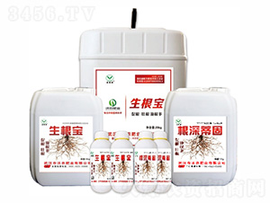 ������+����ٹ�-���r(n��ng)��-���r(n��ng)�ʘI(y��)