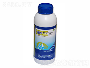 �ЙC(j��)�}��-�{(l��n)�w-ïʩ���� 