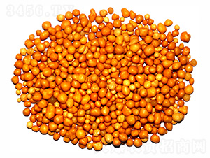 ����n�w����ጷ�15-7-13-ïʩ����