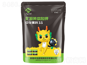 �VԴ�S�����-�����ڿ�55