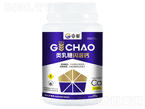 ������W���}-�ȳ�-�ӹ���