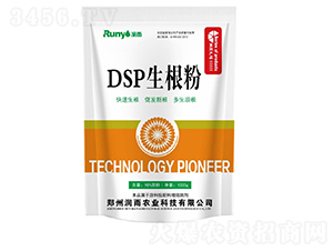 DSP������-����