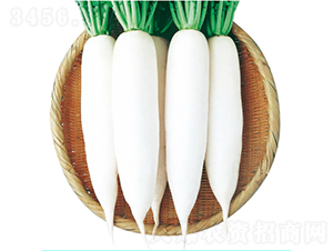 ����-�}���N��-�c�l(f��)��ʢ