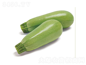 ����-�����J�N��-�c�l(f��)��ʢ