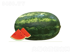 ����1̖-���ϷN��-�c�l(f��)��ʢ