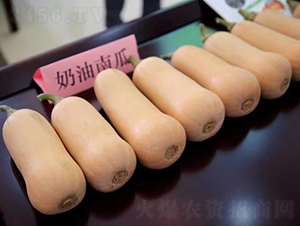 �����Ϲϲ���607-�ϹϷN��-���շN��