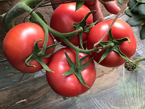 �_(d��)��-���ѷN��-����