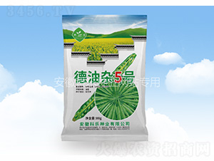 �����s5̖(h��o)-�Ƙ�(l��)�N�I(y��)