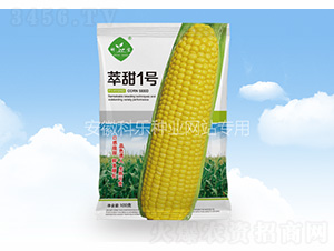 ����һ̖(h��o)-�Ƙ��N�I(y��)