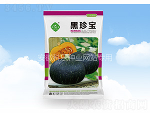 ���䌚-�Ƙ�(l��)�N�I(y��)