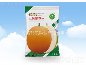 ������(d��)��-�Ƙ��N�I(y��)