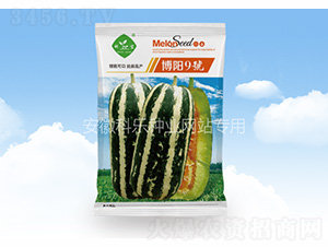 ���9̖(h��o)-�Ƙ��N�I(y��)