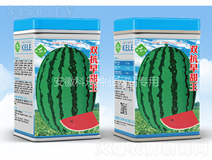 �p��������-�Ƙ��N�I(y��)