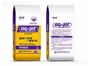 �����ЙC(j��)��-������-��˾�׷ʘI(y��)