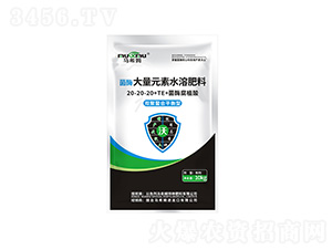 ��ø�p������ƽ���ʹ���Ԫ��ˮ�ܷ���20-20-20+TE-�Rϣķ