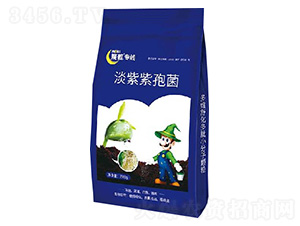 �������߾�-ħ������-ħ������