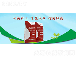 �＝ʿ����΢-��������