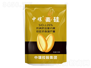 ����-����