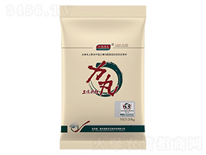 �����{(di��o)��-����-����������