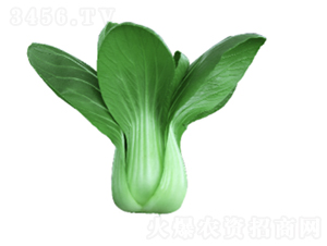 ����605��˷N��-�r(n��ng)�ƷN��