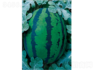 ���׊WX7-���ϷN��-�r(n��ng)�ƷN��