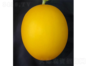 ������3̖-���ϷN��-�r(n��ng)�ƷN��