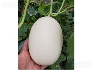 ������4̖-��ϷN��-�r(n��ng)�ƷN��