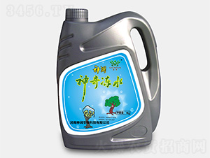 �����ˮ-������