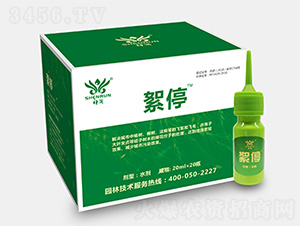 ��ͣ-������