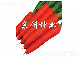 �����tо�ߴ�-���}���N��-���зN�I(y��)