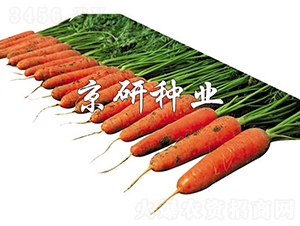 �A�u(y��)218-���}���N��-���зN�I(y��)