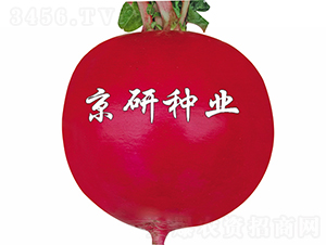 ���t5̖(h��o)-�}���N��-���зN�I(y��)