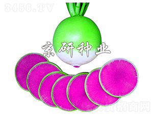 ���M�üt��������-�}���N��-���зN�I(y��)