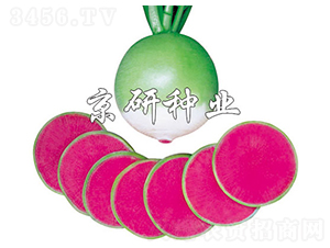 �����M�üt-�}���N��-���зN�I(y��)