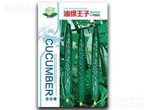 �;G����-�S�ϷN��-��ʢ